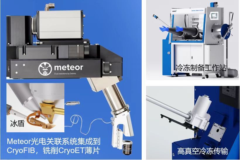 荷蘭Delmic冷凍光電關聯(lián)成像系統(tǒng)