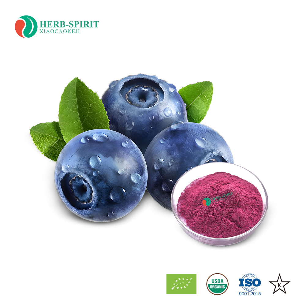 Blueberry Powder