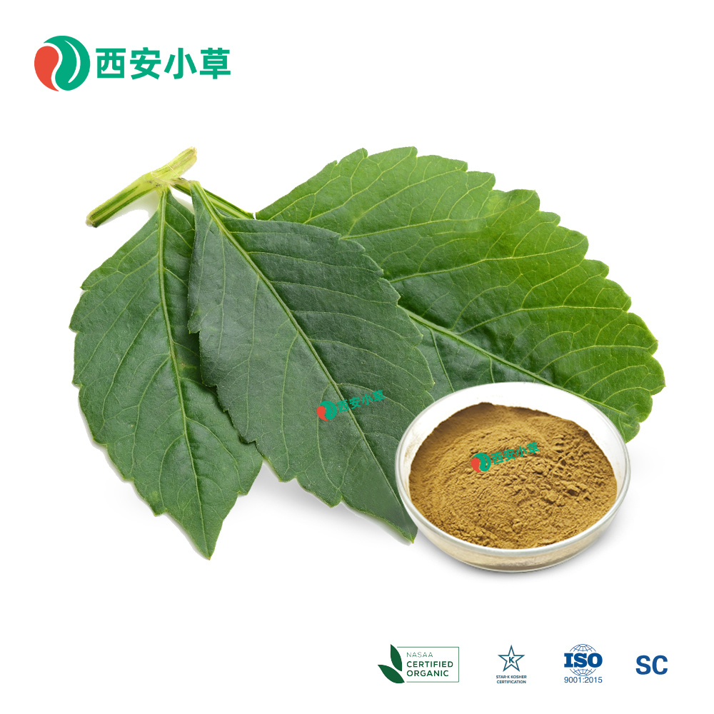 桑叶提取物