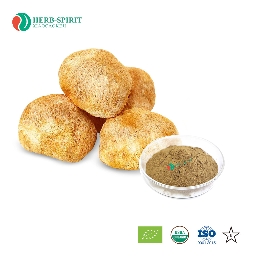 Lion's Mane Mushroom Extract