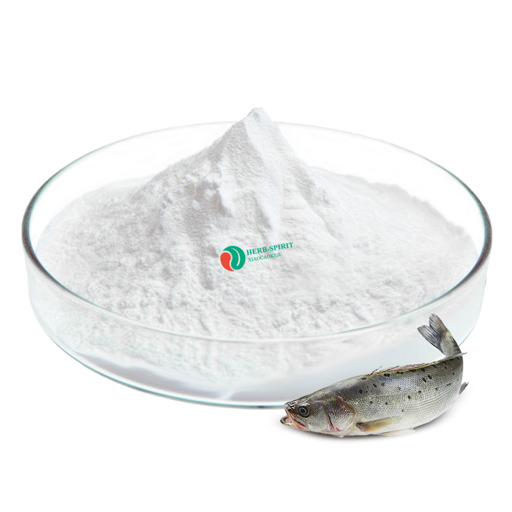 Fish collagen