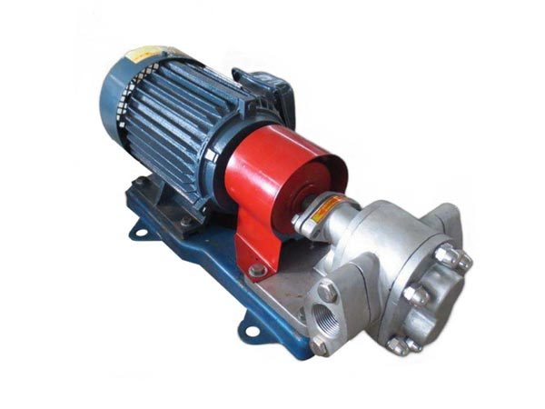 Micro gear pump