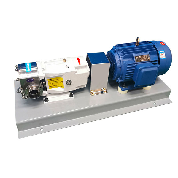 Raystone Cam Rotor Pump - Focus on Fluid Transport