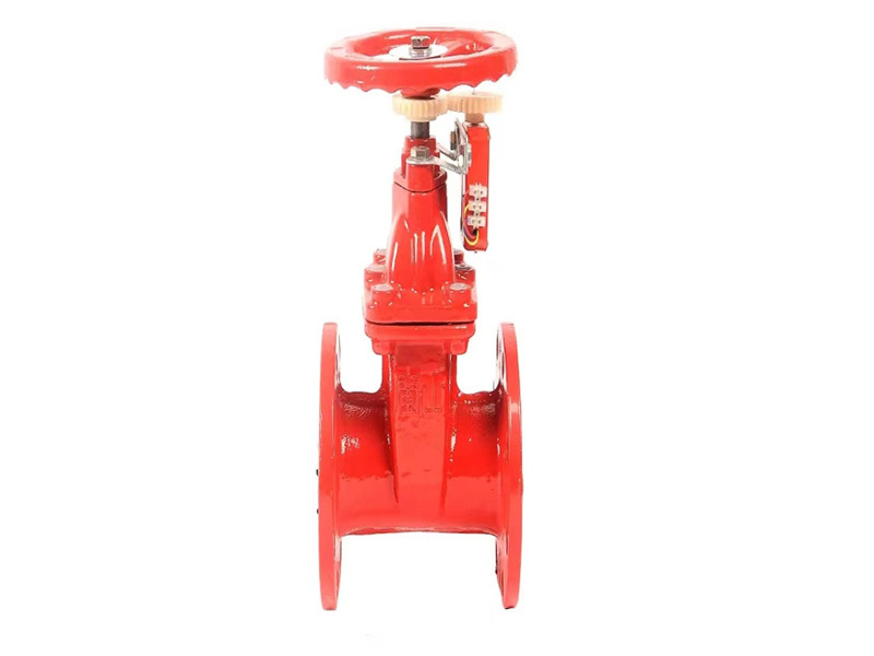 Flanged signal gate valve