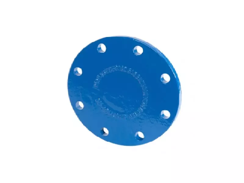 Blind flange