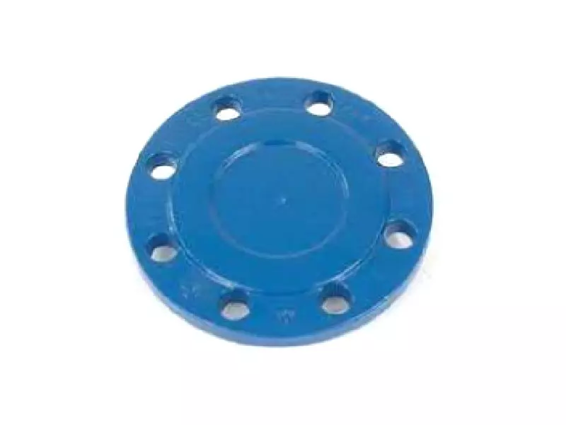 Blind flange