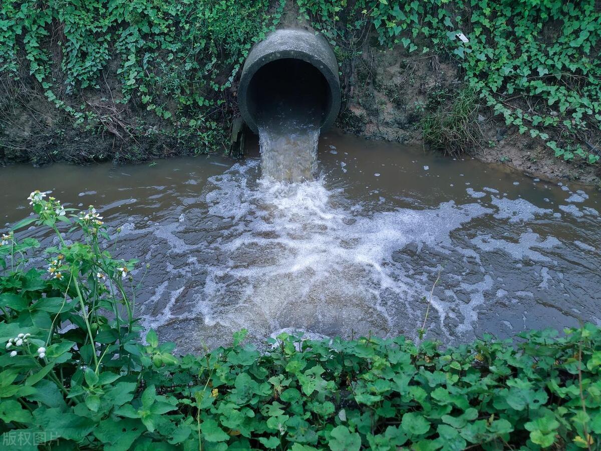 守護水環(huán)境：黑臭水體水質(zhì)監(jiān)測的溫暖方案