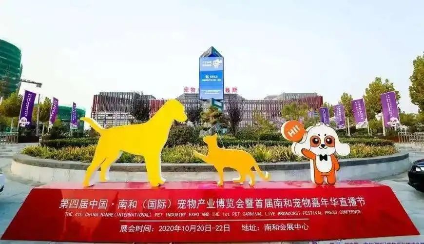 cat litter factory in china