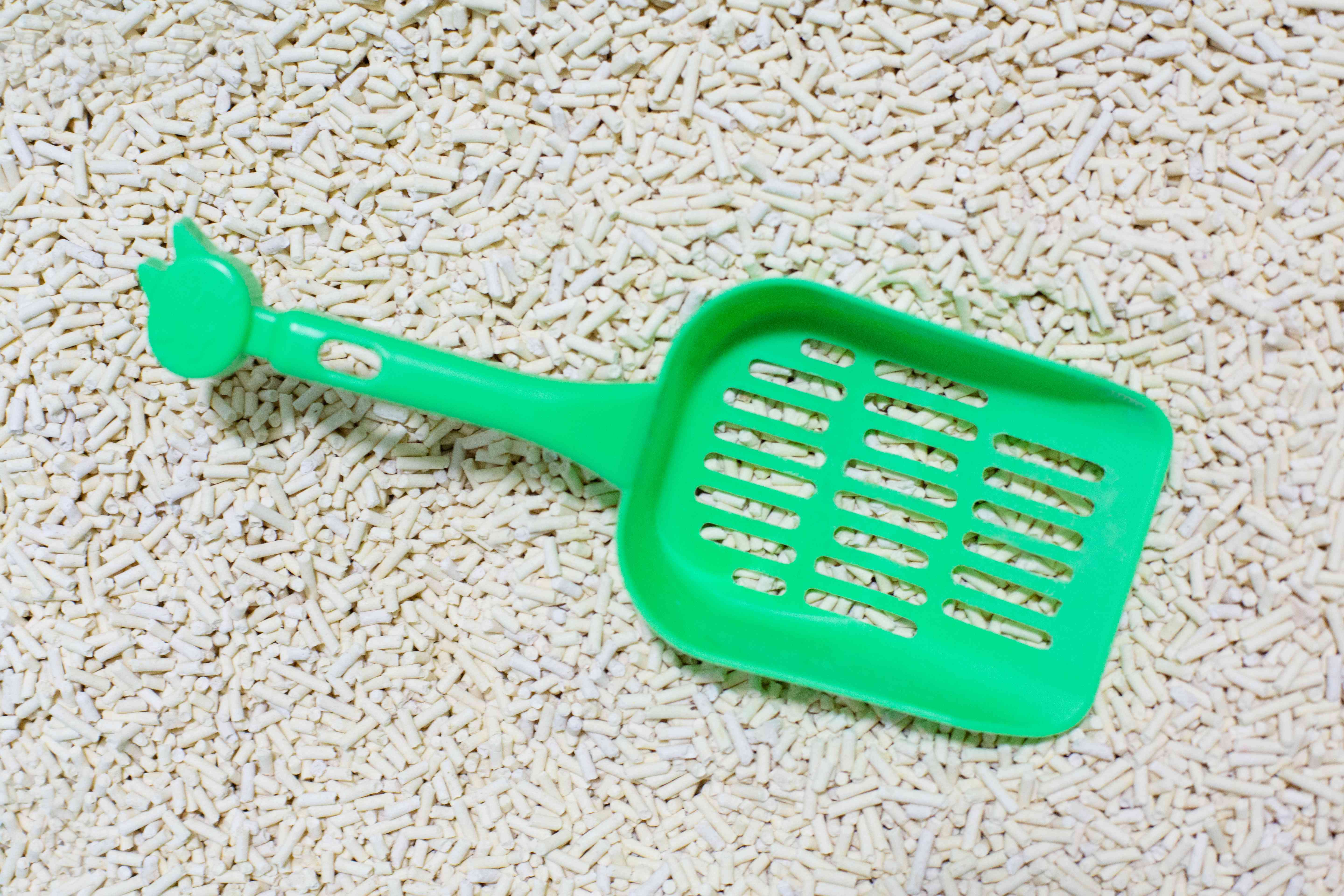 best clumping tofu cat litter