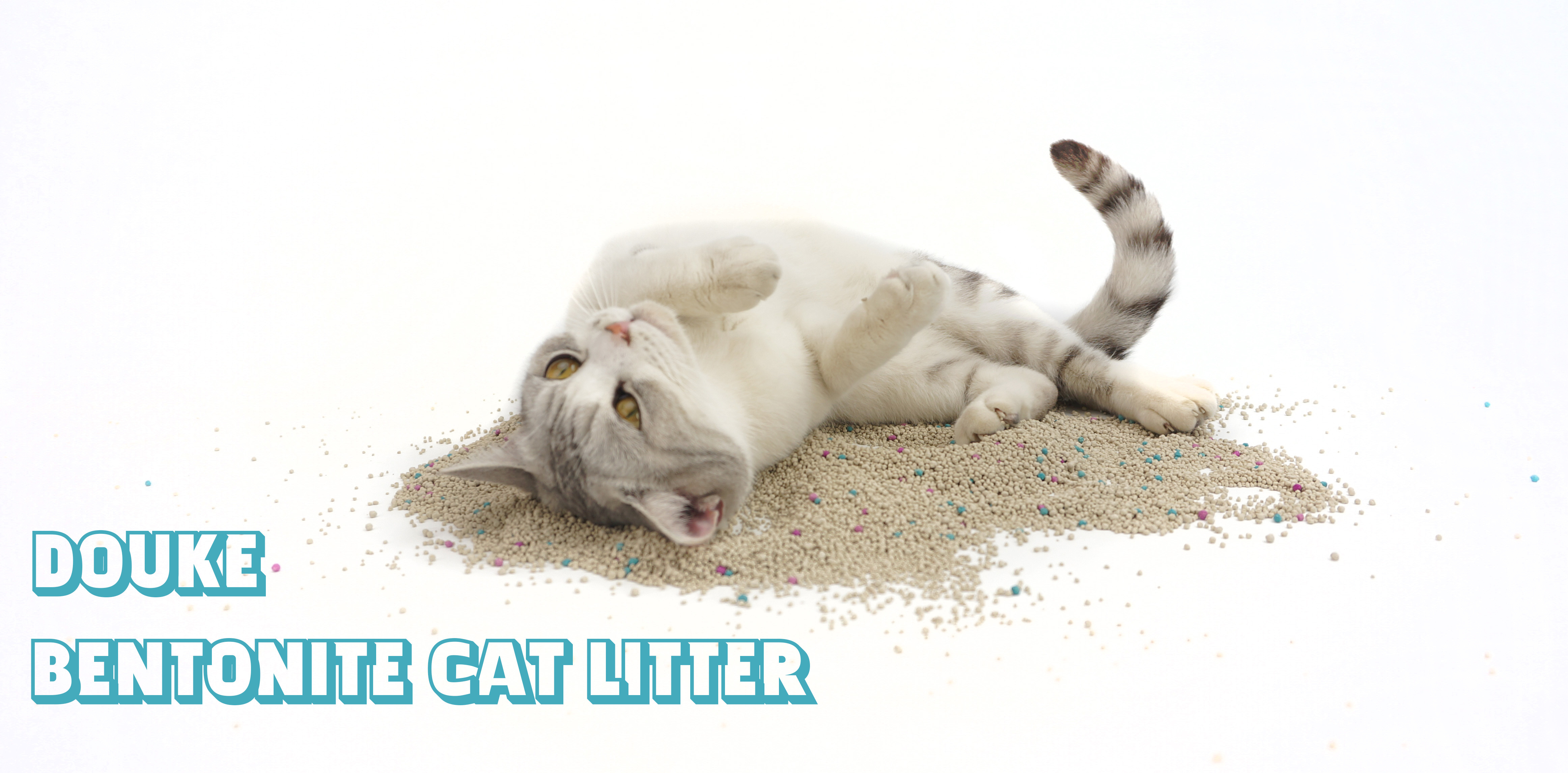 bentonite cat litter manufacturer