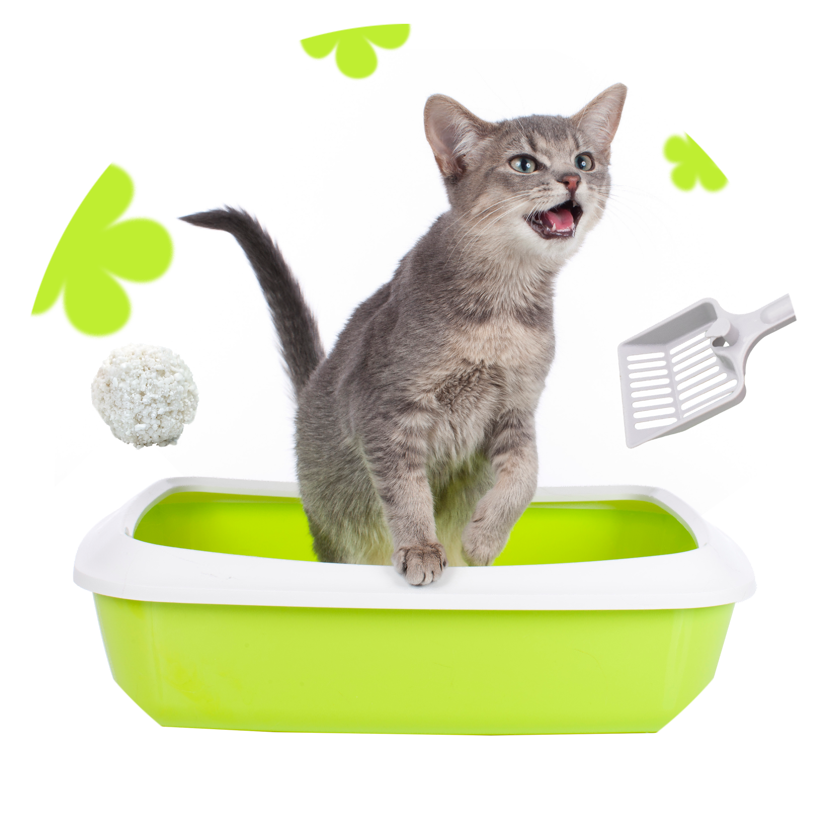 Deodorizing Cassava Cat litter
