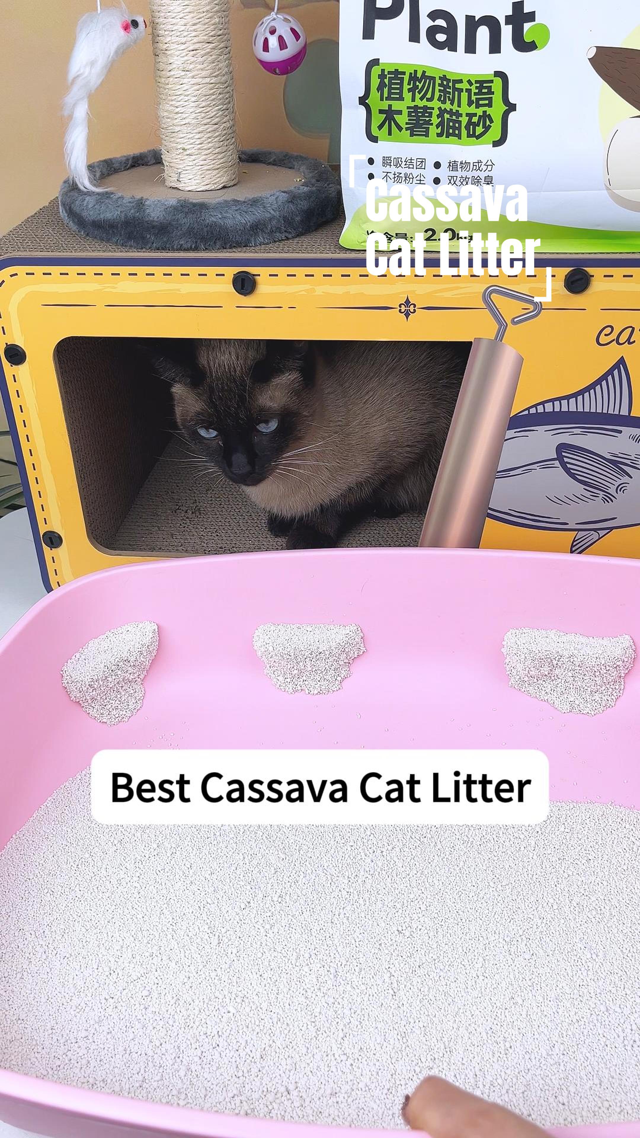 OEM Cassava Cat Litter Cassava Sand Manufacturer OEM Cassava Cat Litter Cassava Sand Manufacturer