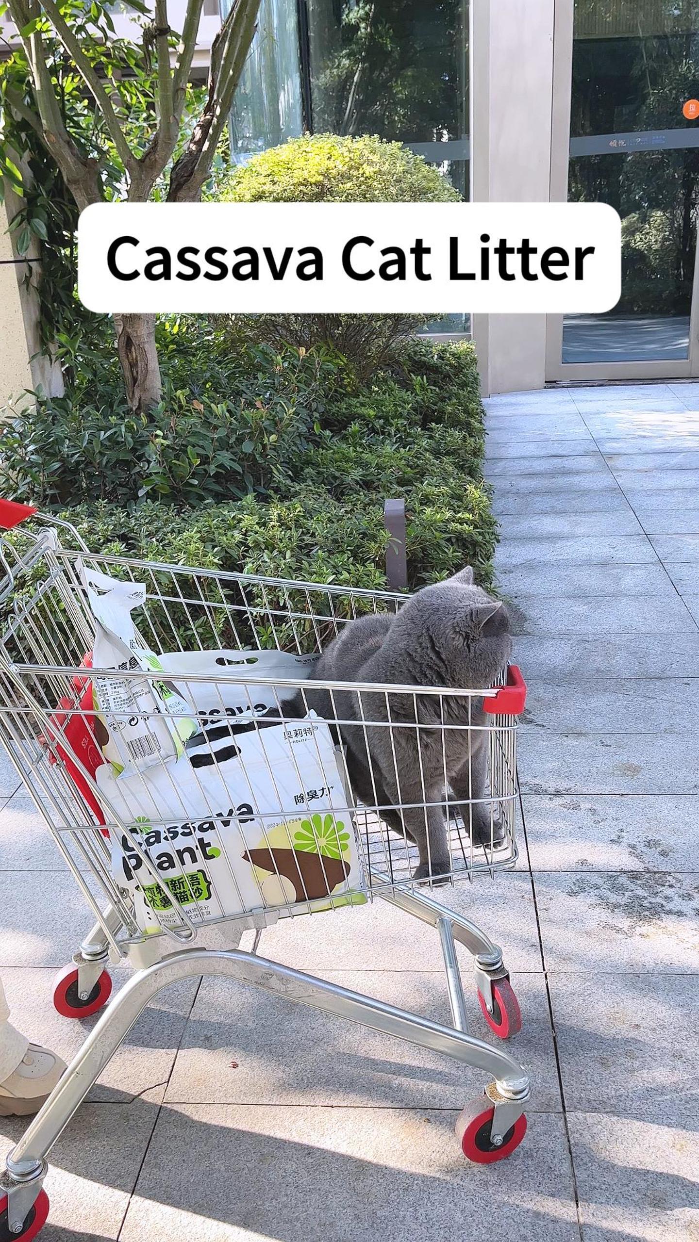 Natural cassava cat litter customized factory Natural cassava cat litter customized factory