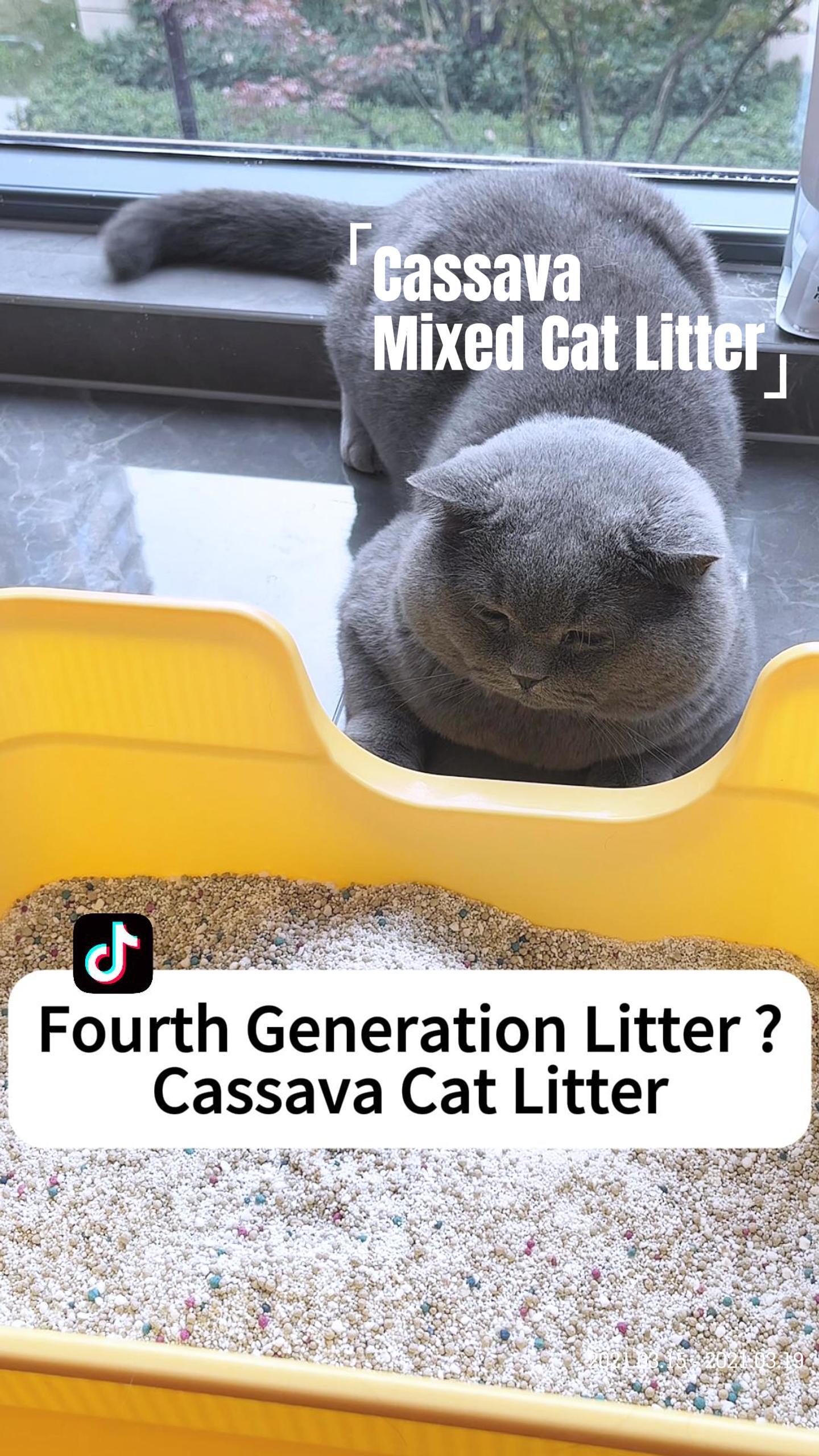 cassava cat litter mixed bentonite clay
