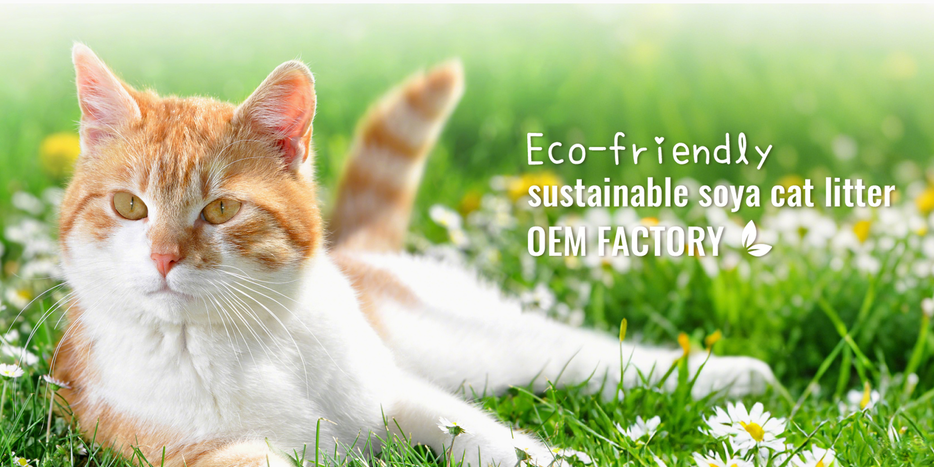 sustainable soya cat litter oem factory
