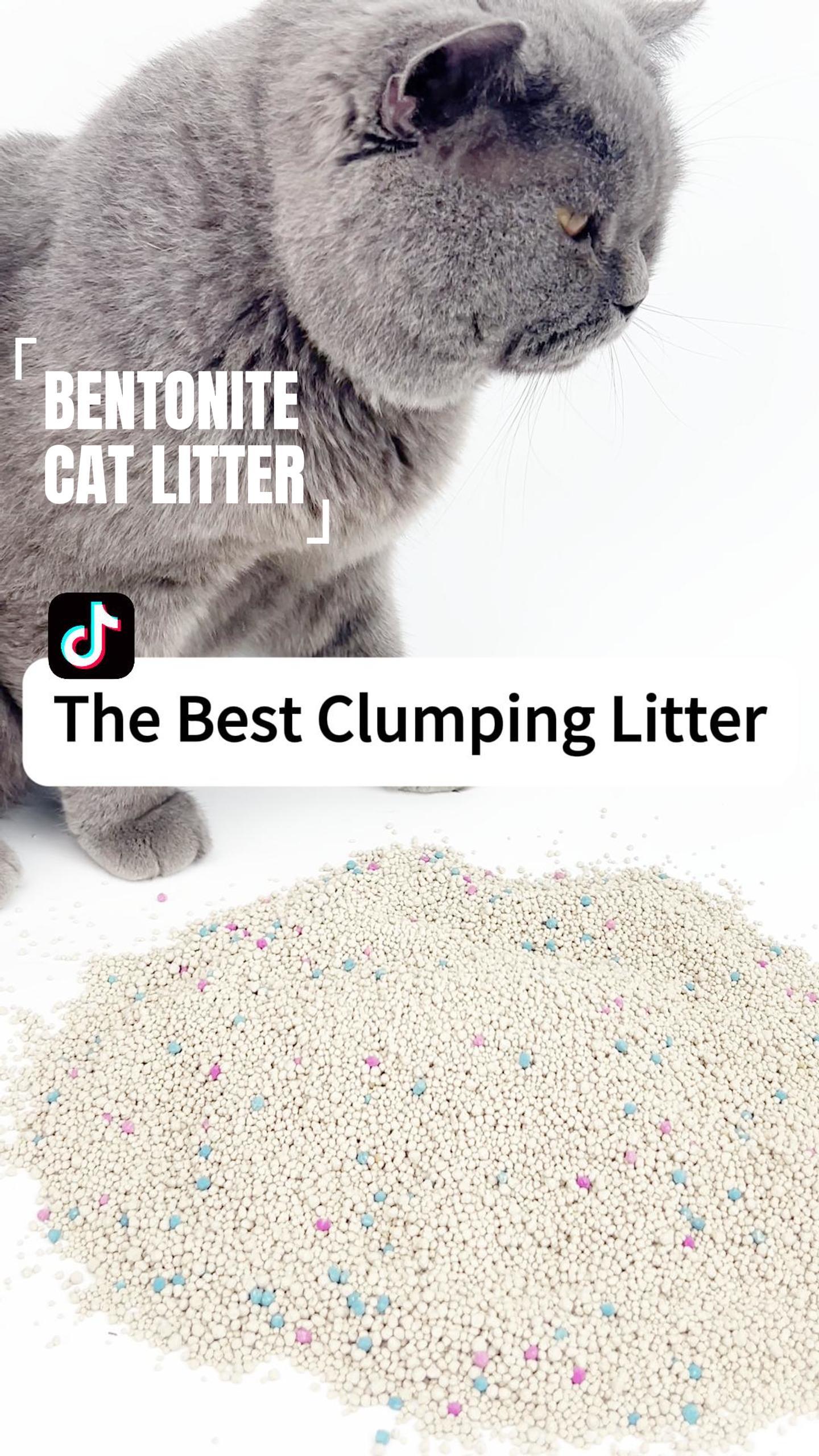 bentonite ball cat litter