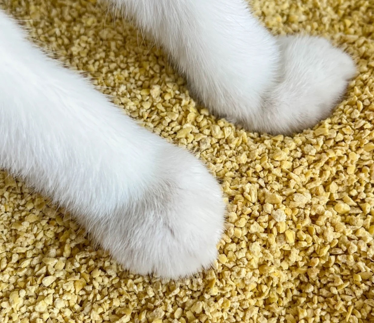 Crushed Tofu Cat Litter factory Crushed Tofu Cat Litter factory