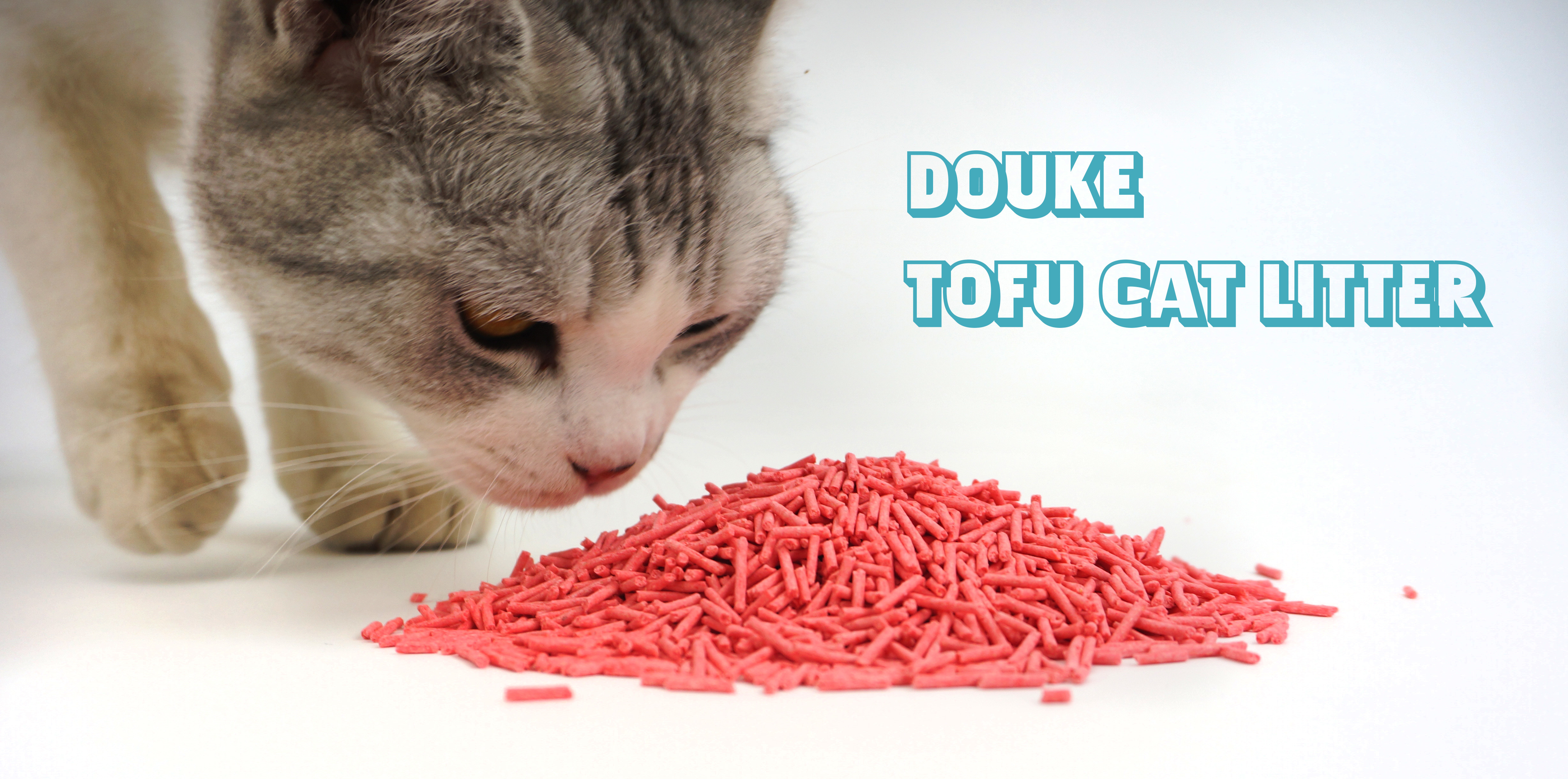eco clean tofu cat litter customized