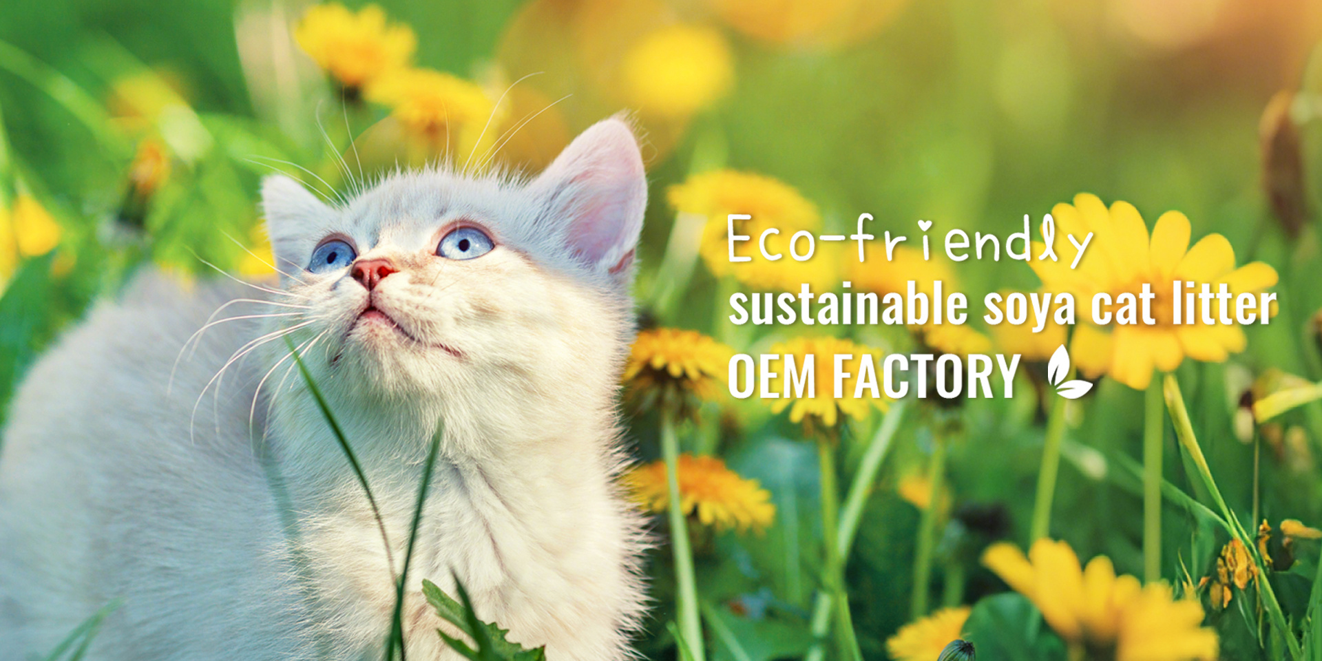 eco-friendly plant based cat litter