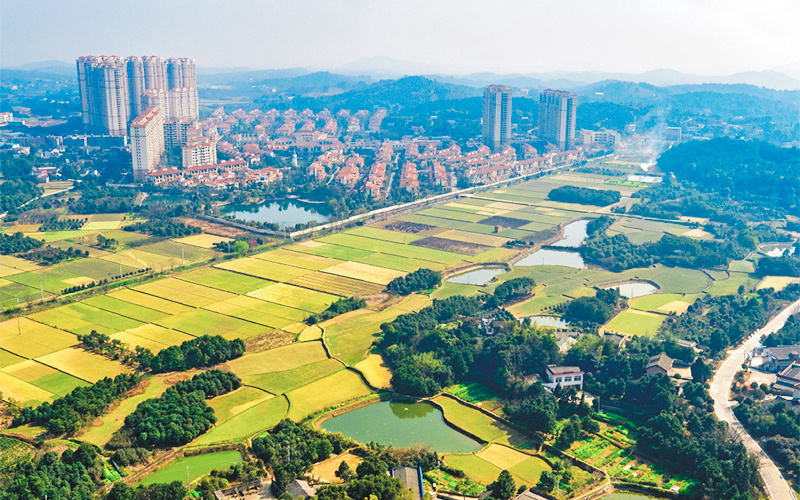 生態(tài)旅游