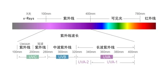 Haiyi Science and Technology Trade Haiyi Science and Technology Trade