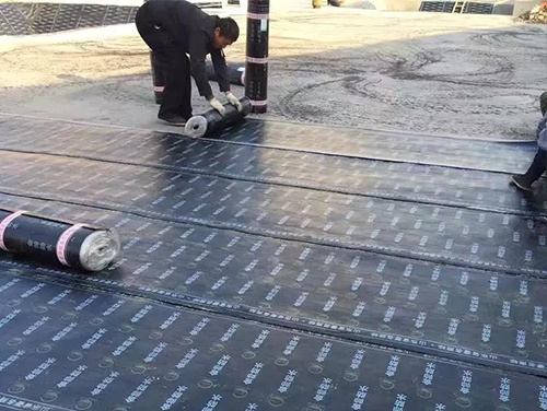 【金帥防水工程】德州富路·幸福春天