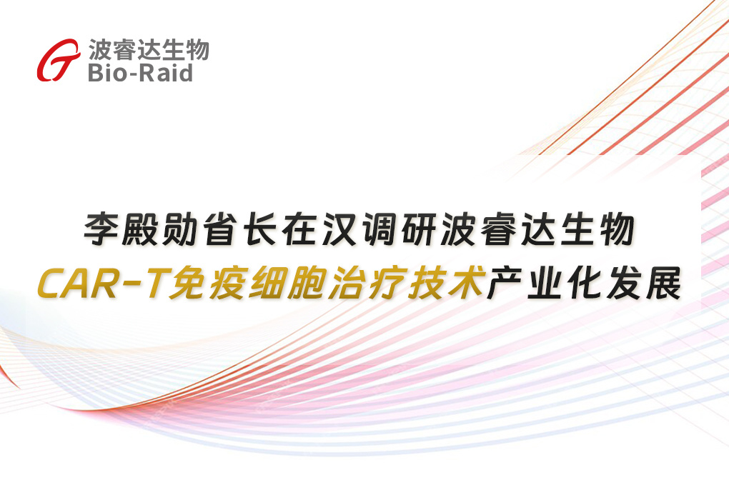【资讯】| 李殿勋省长在汉调研波睿达生物CAR-T免疫细胞治疗技术产业化发展