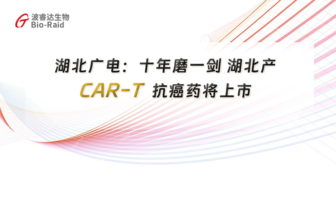 [Information] | Hubei Radio and Television: Ten Years of Grinding a Sword CAR-T Anticancer Drugs Produced in Hubei to Be Listed