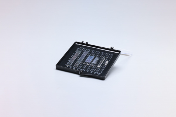 PPLN Waveguide
