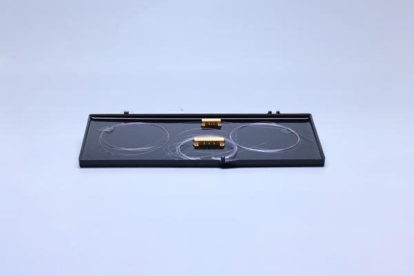 Multi-Function Integrated Optical Chip