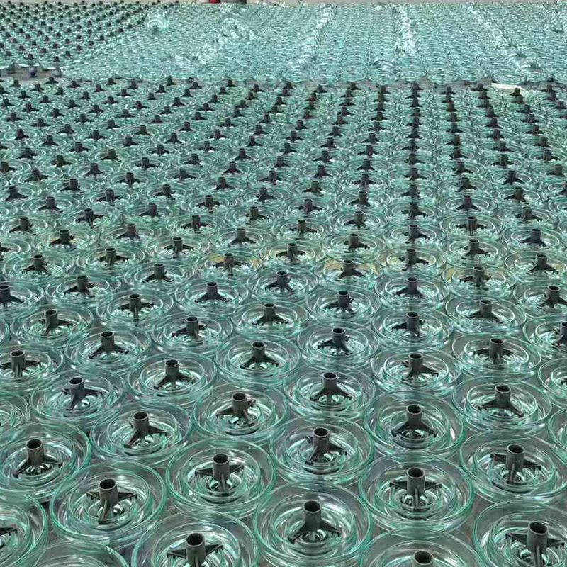 Glass insulator