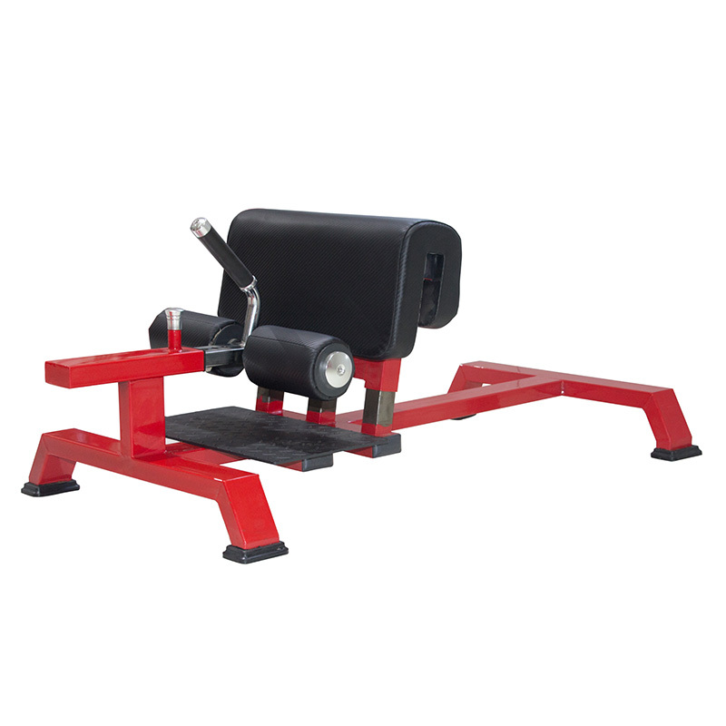 RS-1010 Sissy Squat