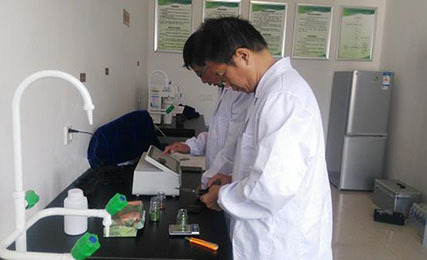 Detection equipment