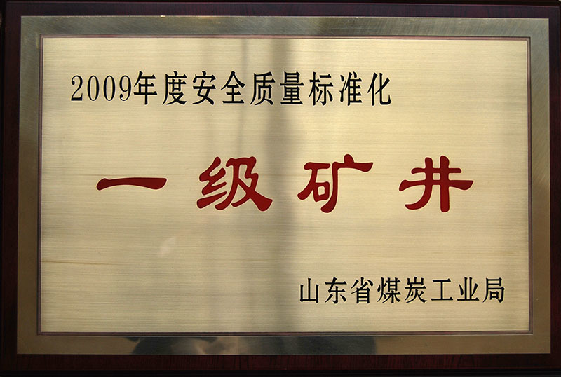 2009安全质量标准化一级矿井