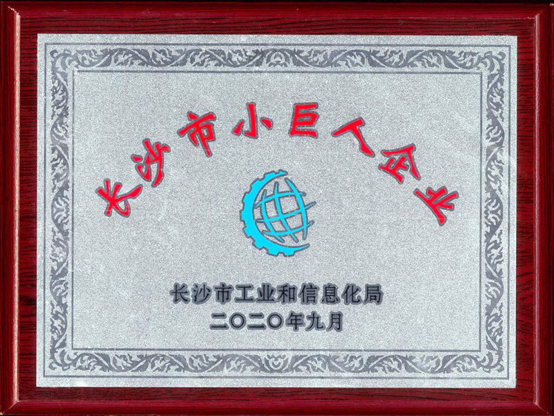 長沙市小巨人企業(yè)