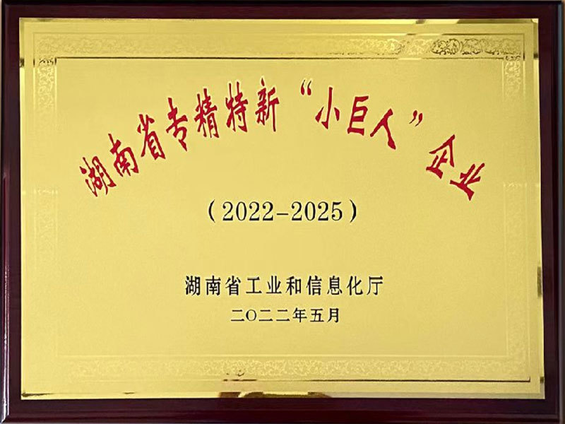 湖南省專精特新“小巨人”企業(yè)