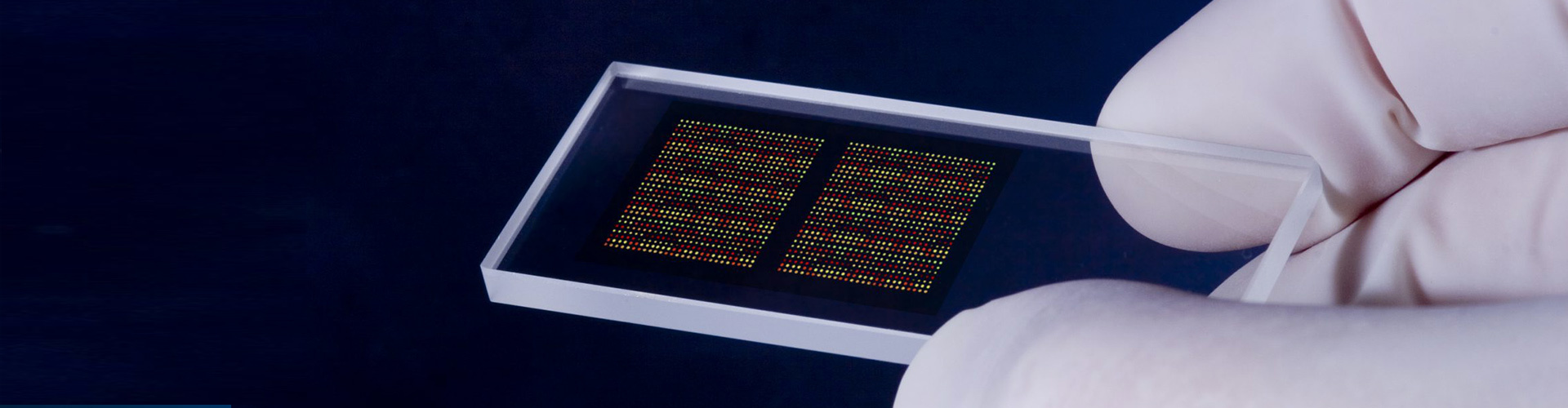 Micro-nano Optical Devices