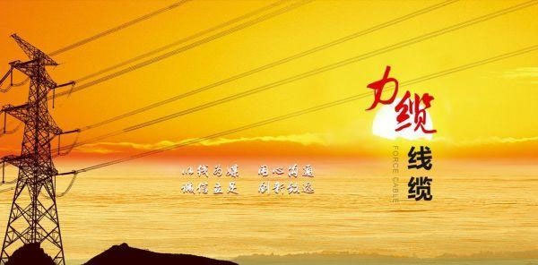 行業(yè)榮譽(yù)嘉獎(jiǎng)