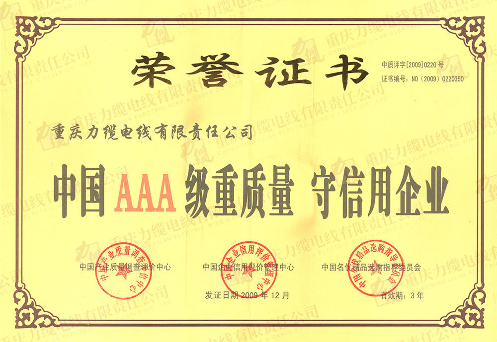 2009年AAA證書