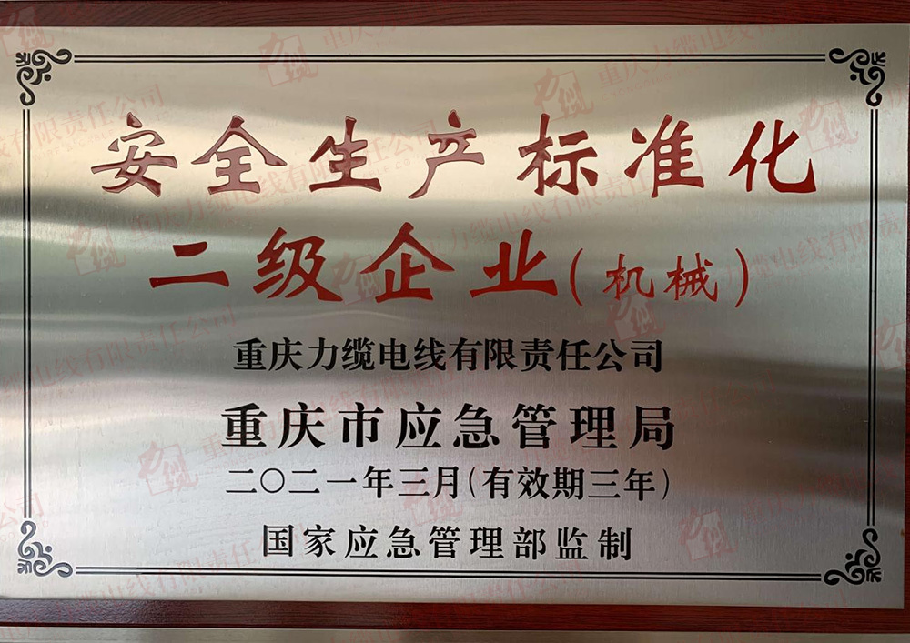 安全生產(chǎn)標(biāo)準(zhǔn)化二級(jí)企業(yè) 安全生產(chǎn)標(biāo)準(zhǔn)化二級(jí)企業(yè)