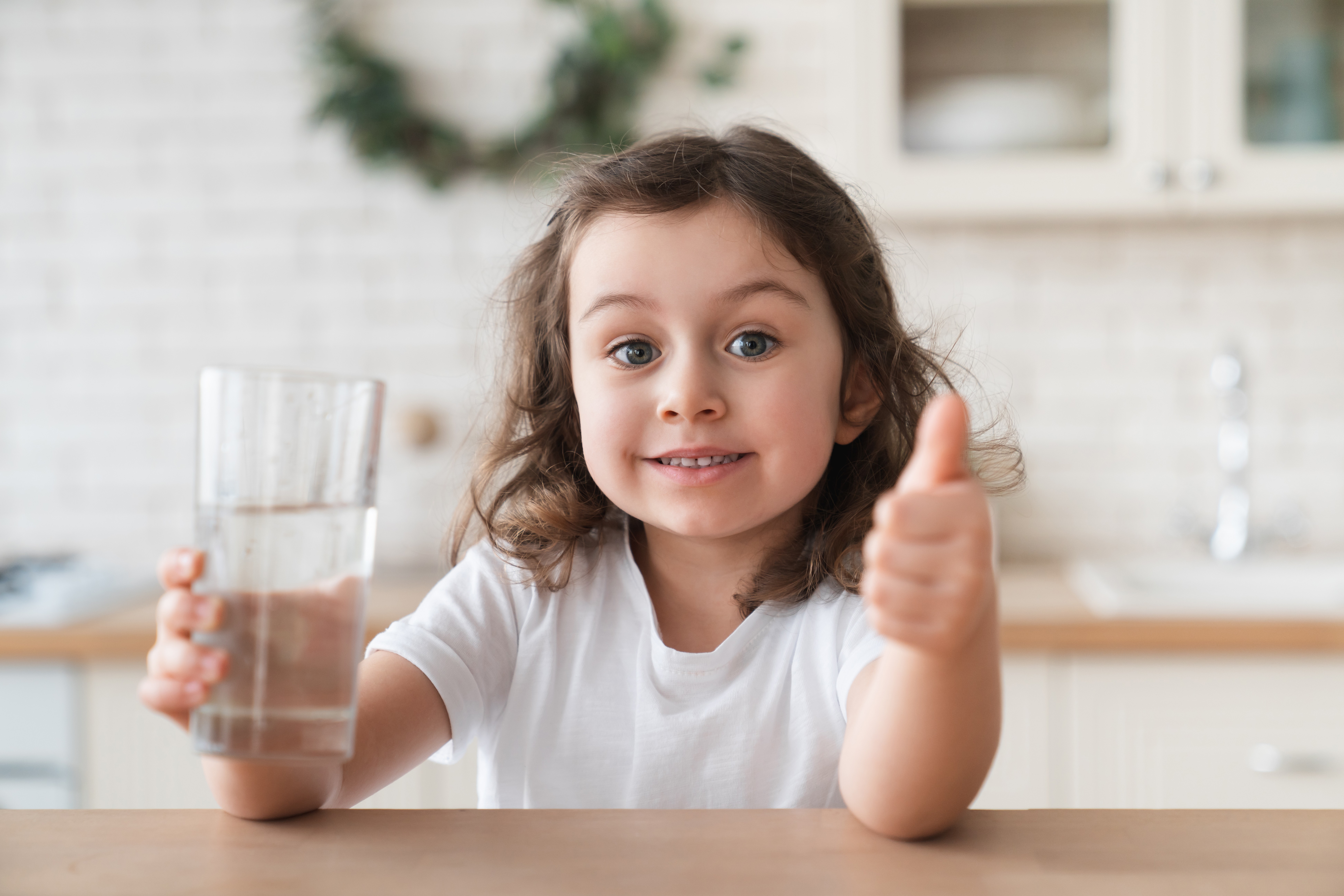Water purifier: Guardian of Healthy