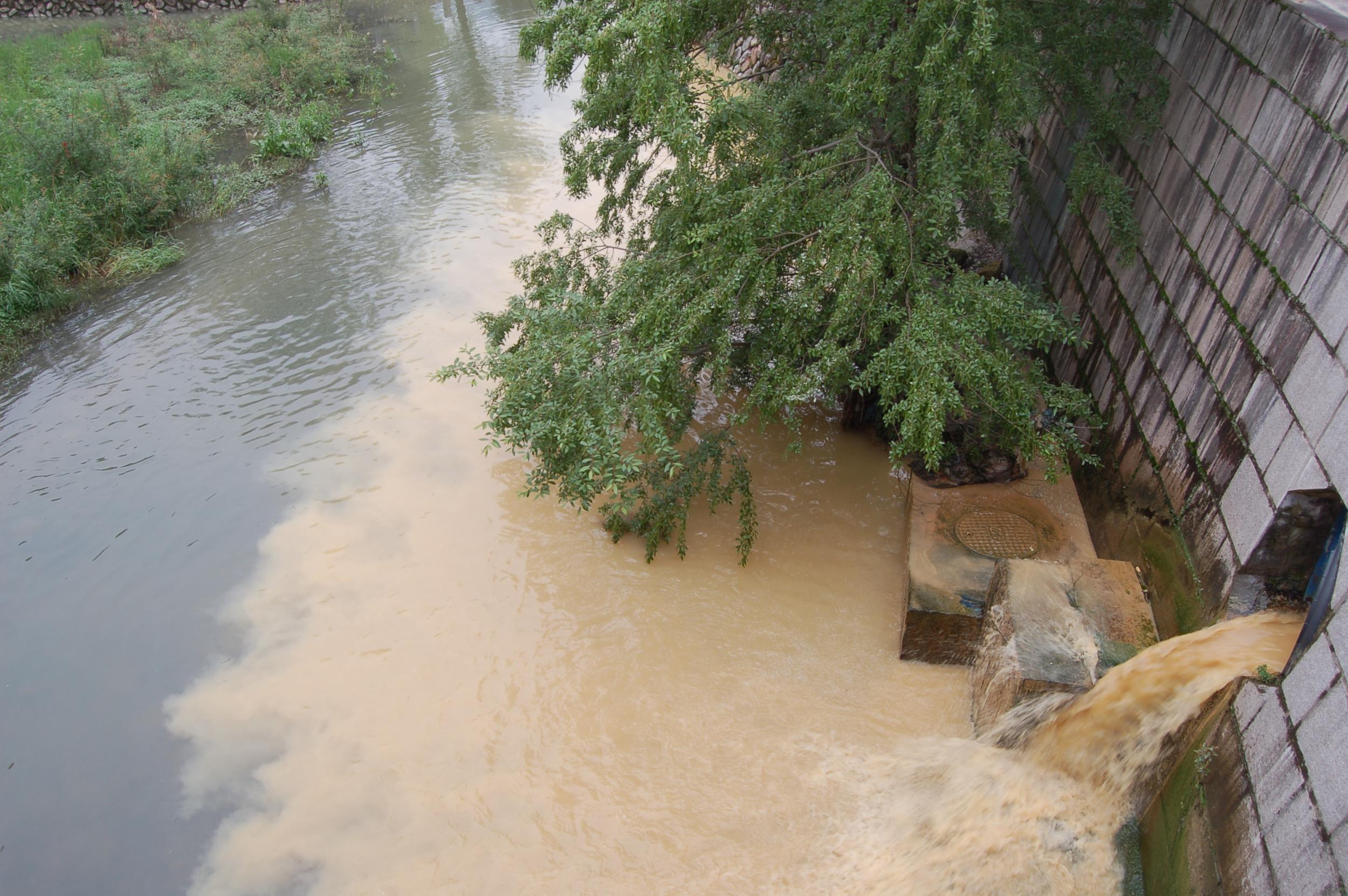 A sewage river