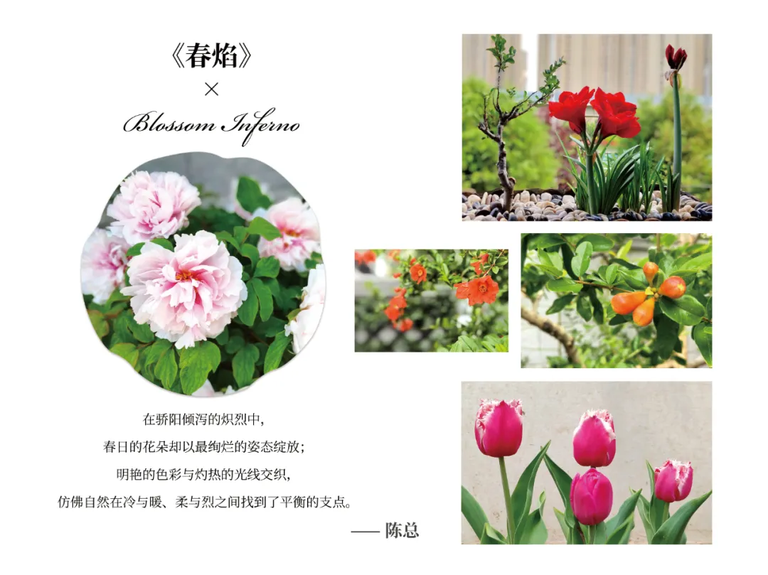 东方化学“化美于影 定格东方”摄影活动圆满落幕！