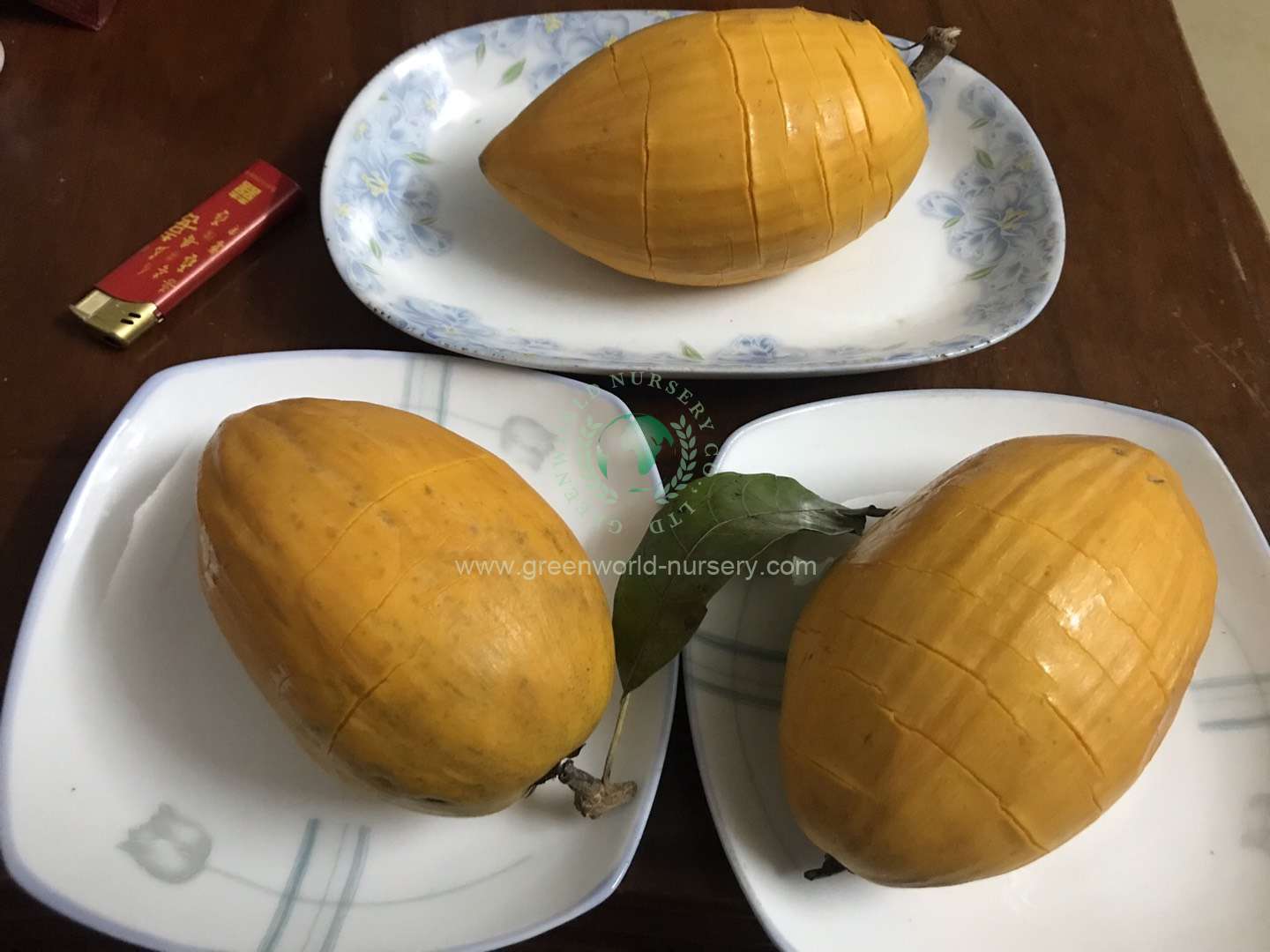 Lucuma Nervosa