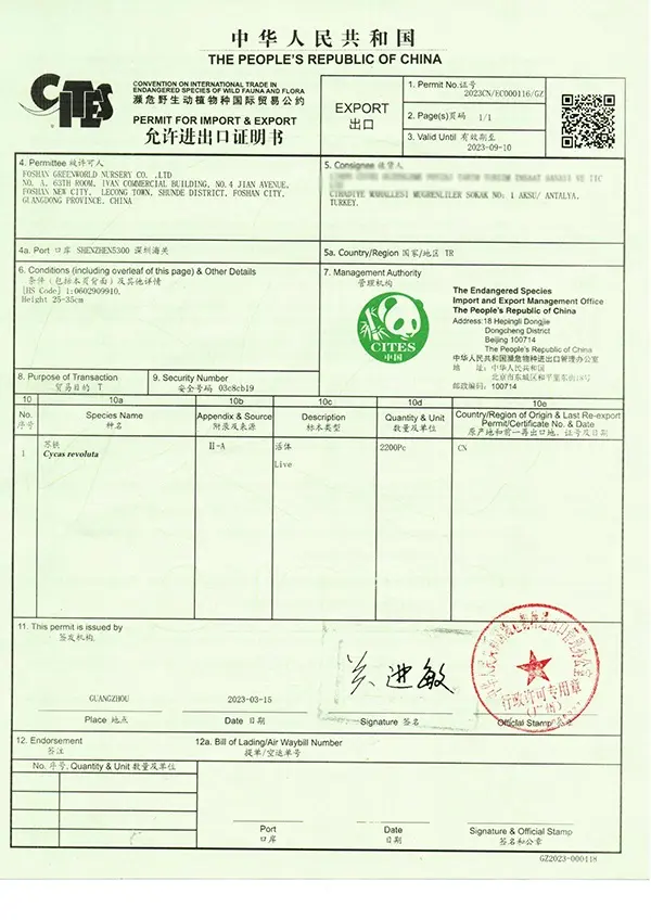 CITIES Certificate CITIES Certificate