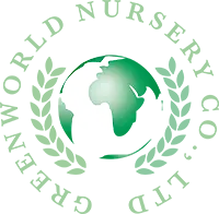  Greenworld Nursery