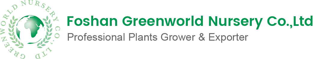  Greenworld Nursery