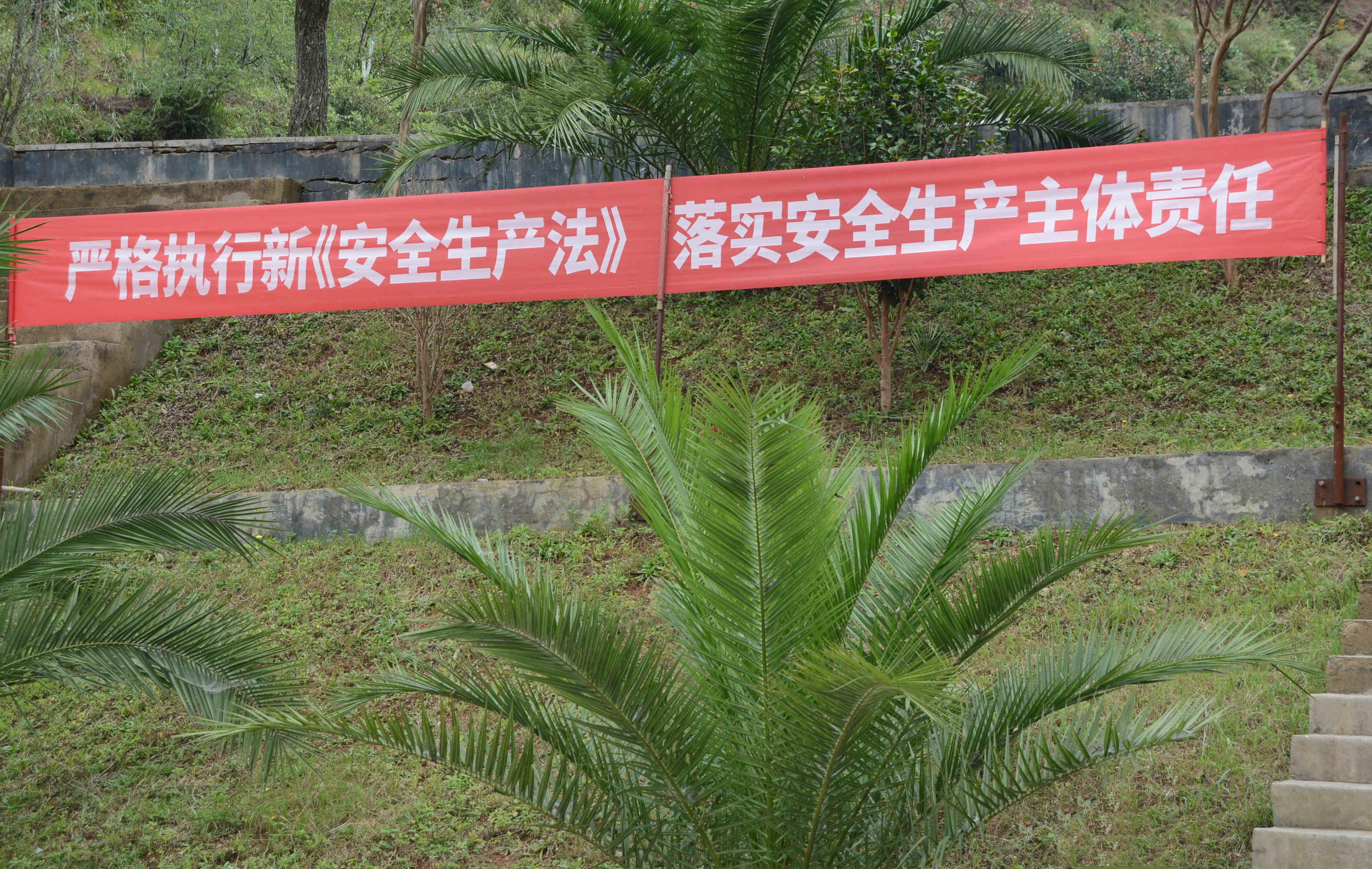 The company formulates a plan for implementing safety education and promotion