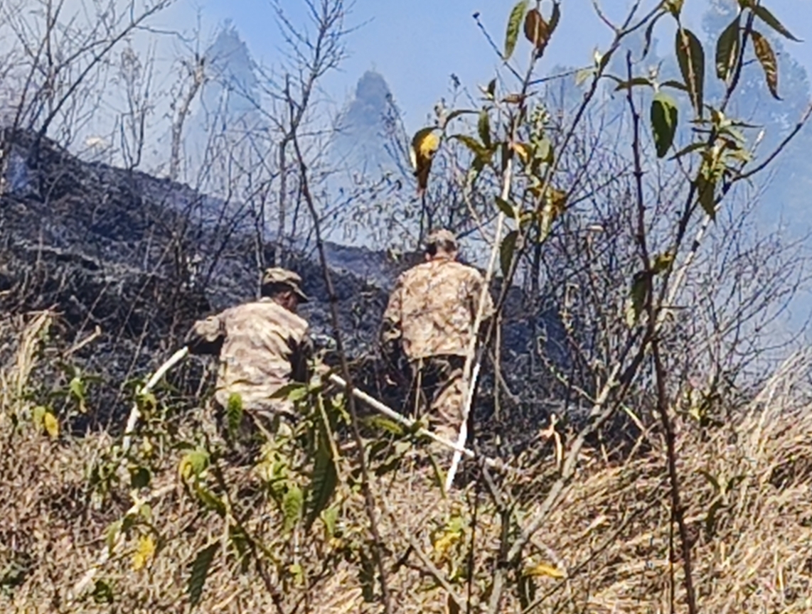 The company's emergency rescue team is conducting forest firefighting operations