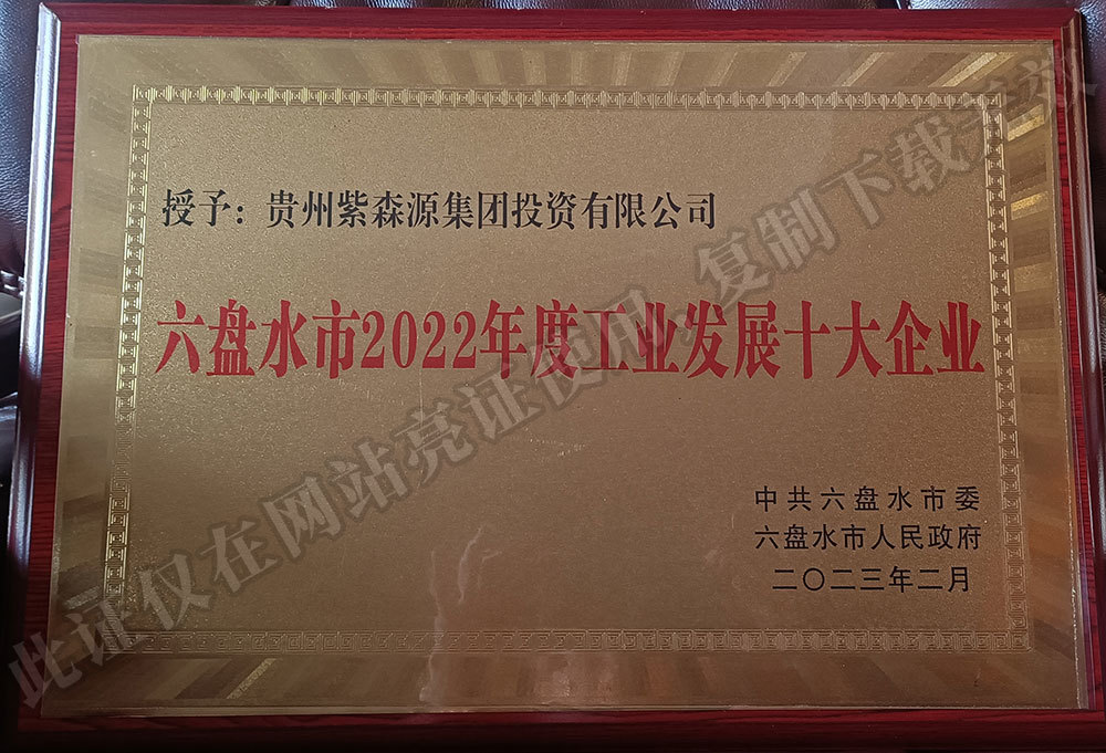 Top 10 Industrial Development Enterprises in Liupanshui City in 2022 Top 10 Industrial Development Enterprises in Liupanshui City in 2022